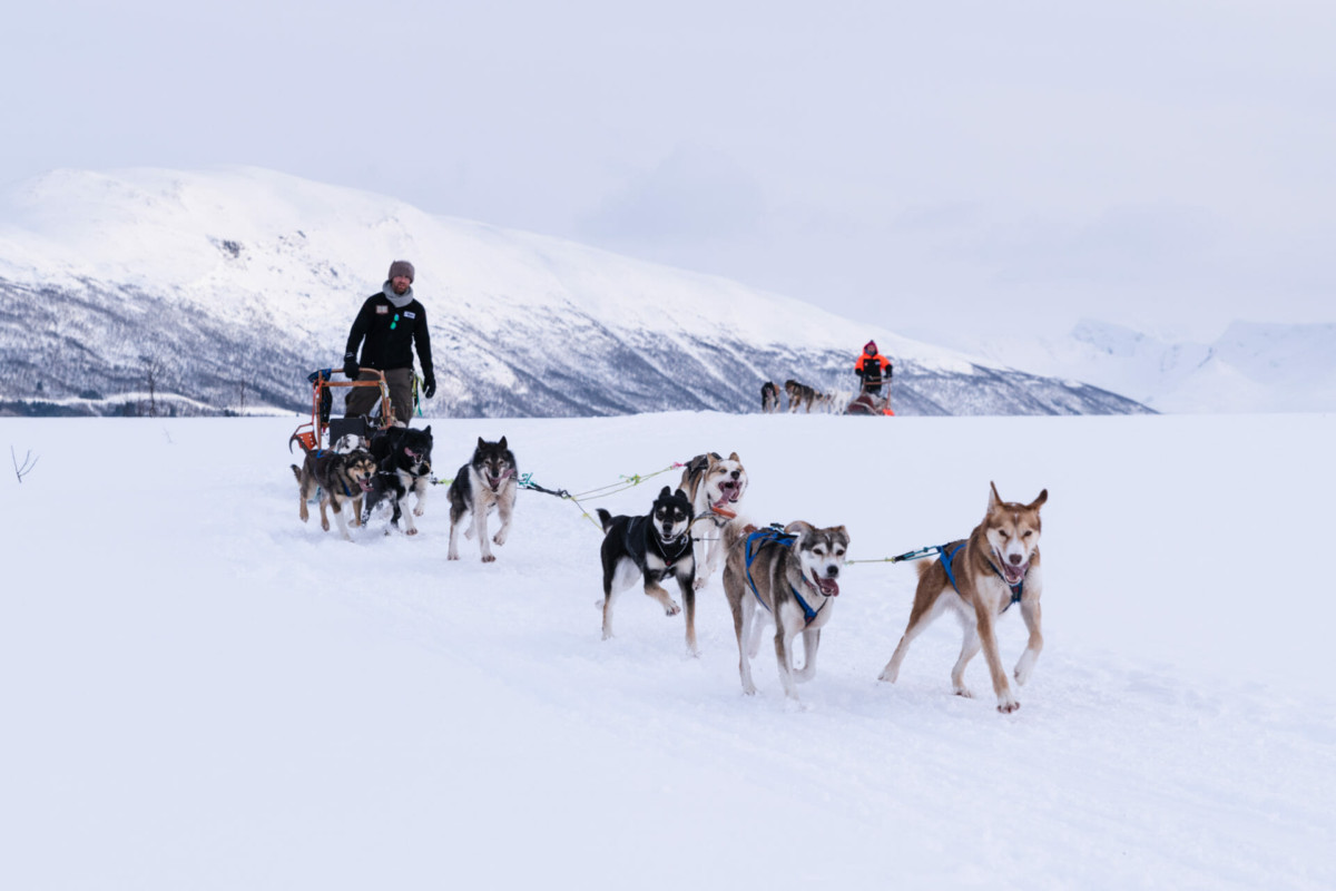 Tromsø Villmarkssenter